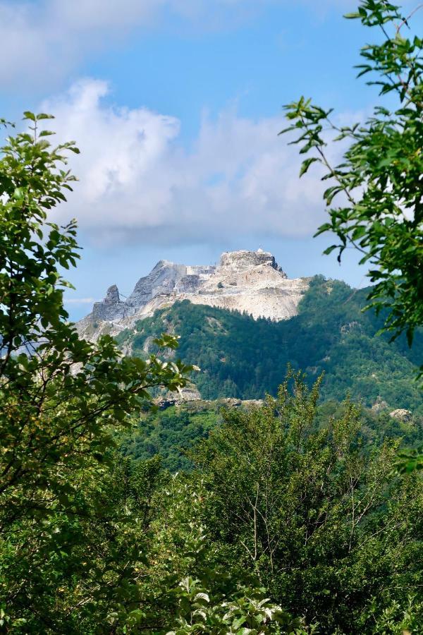 Casa Del Geco - La Natura Intorno A Te Camaiore Exterior foto